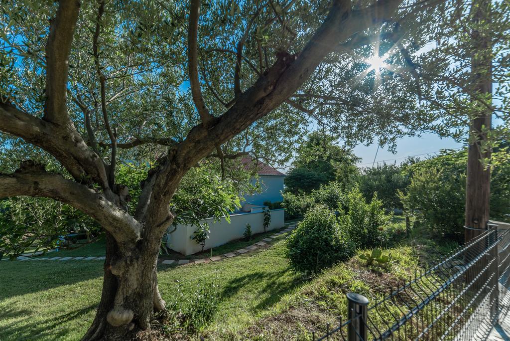 Apartment Robinson Podvrsje エクステリア 写真